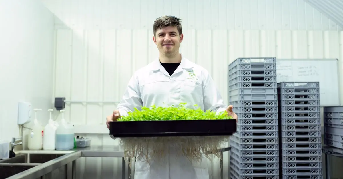 La inteligencia artificial en el agro español: Nuevas perspectivas
