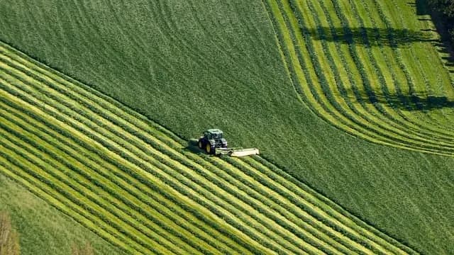 Cómo la Innovación Está Transformando el Sector Agrícola en España