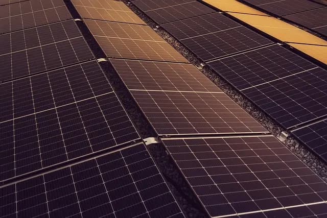 Cómo la Innovación Está Transformando el Ecosistema Sostenible en España